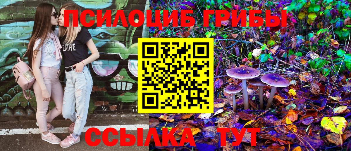 Псилоцибиновые грибы Psilocybe Дивногорск