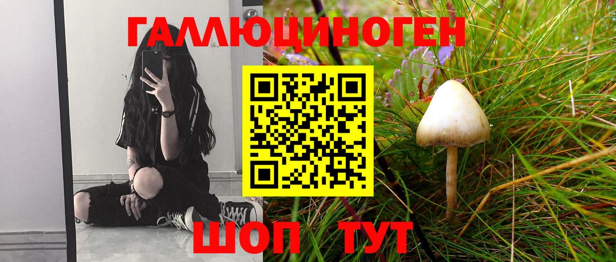 Галлюциногенные грибы MAGIC MUSHROOMS  Вход с VPN  Галлюциногенные грибы прущие грибы  Дивногорск 